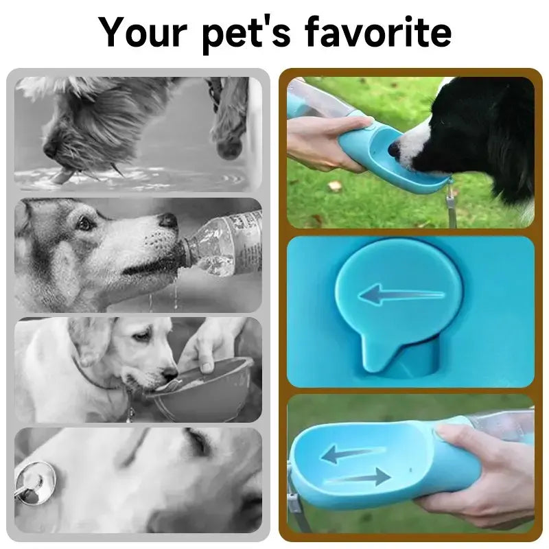 3-in-1 Portable Dog Water Bottle & Travel Bowl with Treat Container & Poop Bag Holder - Ideal for Outdoor Adventures with Large Dogs - 20oz Blue